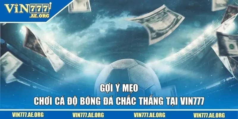 Gợi ý mẹo chơi cá độ bóng đá chắc thắng tại VIN777 